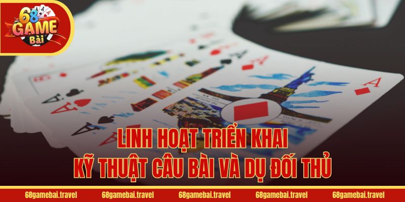 Linh hoạt triển khai kỹ thuật câu bài và dụ đối thủ